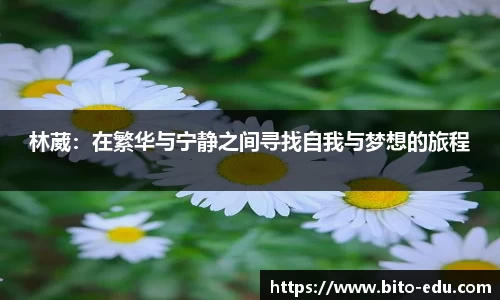 78m威九国际