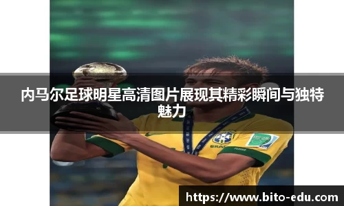 78m威九国际(集团)中国区有限公司-BinG百科